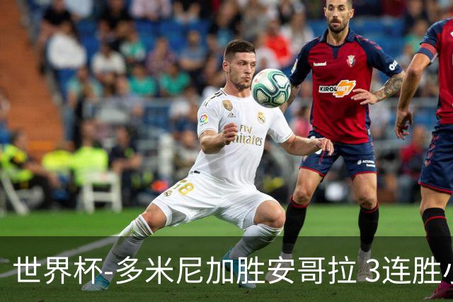 世界杯-多米尼加胜安哥拉 3连胜小组第一晋级