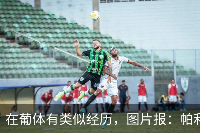 在葡体有类似经历，图片报：帕利尼亚从未放弃在拜仁证明自己