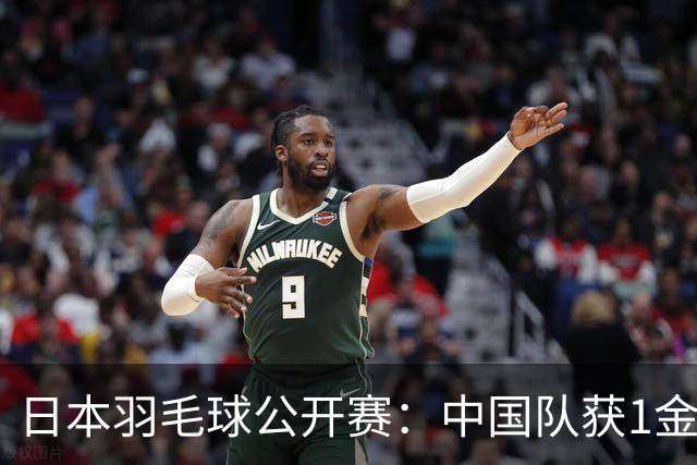 日本羽毛球公开赛：中国队获1金1银