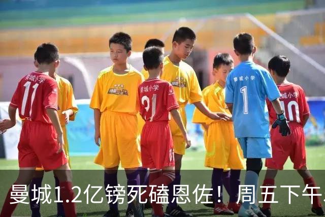 曼城1.2亿镑死磕恩佐！周五下午5点硬截止，马雷斯卡亲自主导，罗德里走人倒计时开启