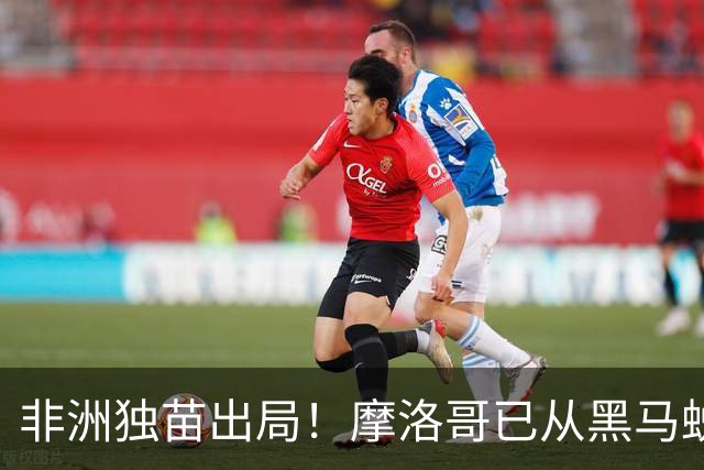 非洲独苗出局！摩洛哥已从黑马蜕变为劲旅 四年后主场见