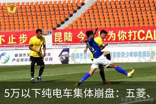 5万以下纯电车集体崩盘：五菱、吉利为何卖不动了？